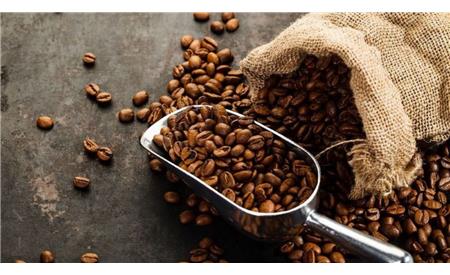 بهترین دانه‌های قهوه برای دستگاه اسپرسوساز کدامند؟